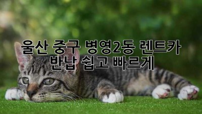 울산 중구 병영2동 렌트카 반납, 쉽고 빠르게!