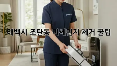 태백시 조탄동 미세먼지 제거 꿀팁 🏡✨